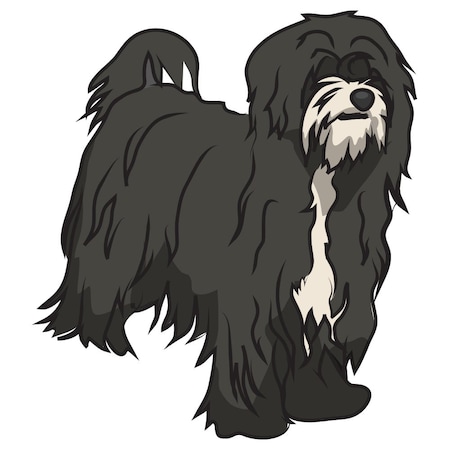 Signmission Tibetan Terrier Dog Decal, Dog Lover Decor Vinyl Sticker D-12-Tibetan Terrier